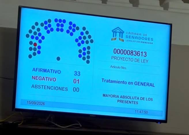 Plan anticrisis en Mendoza: la Legislatura sancionó la ley para renegociar las deudas de 270 mil morosos