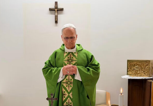 papavaticano2